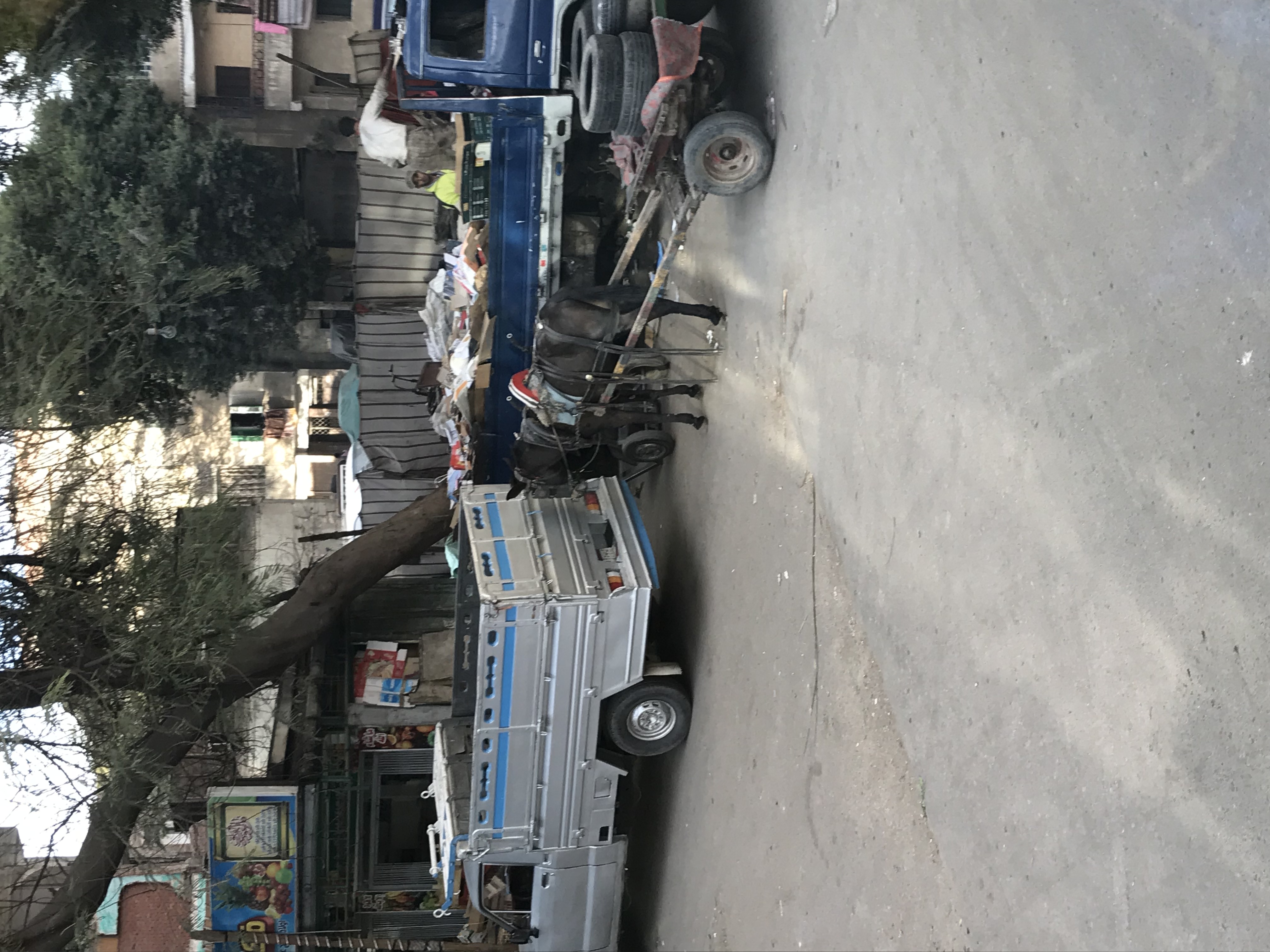 ./2018/16 - Egypt/12 - Cairo Day 4/IMG_4472.jpg